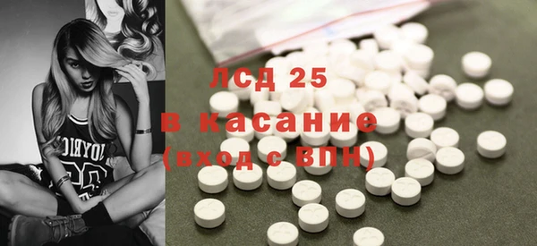 прущие грибы Магадан