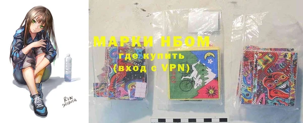 прущие грибы Магадан