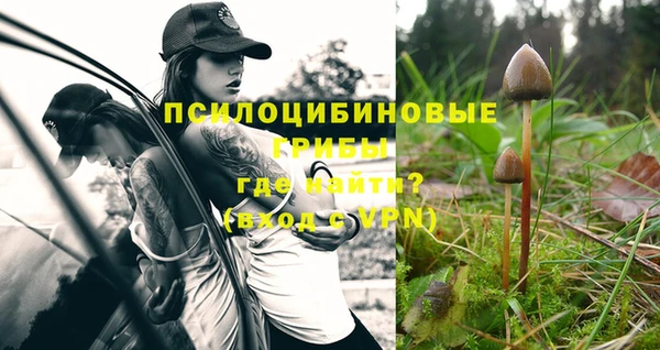 стафф Майский