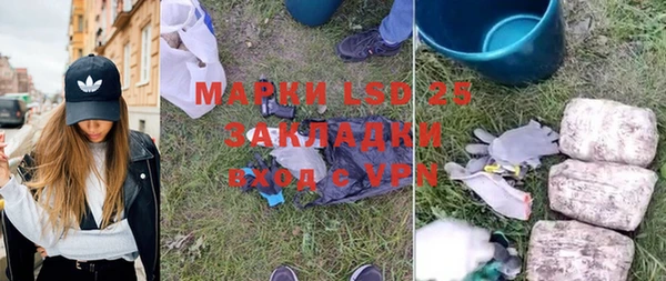 прущие грибы Магадан
