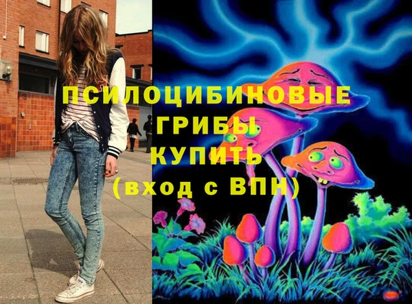 индика Дмитров