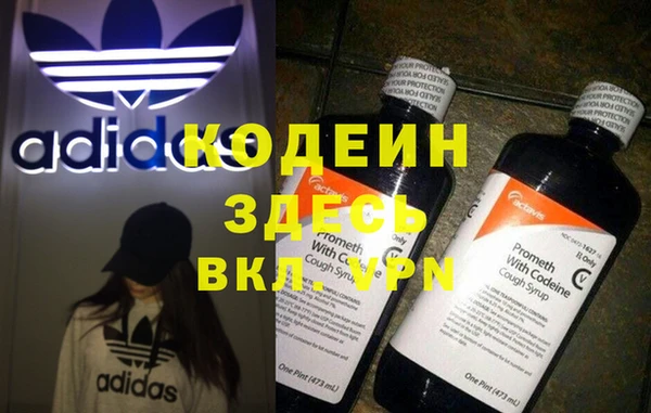 прущие грибы Магадан