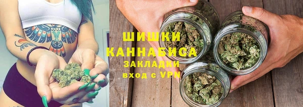 стафф Майский