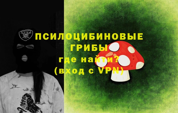 прущие грибы Магадан