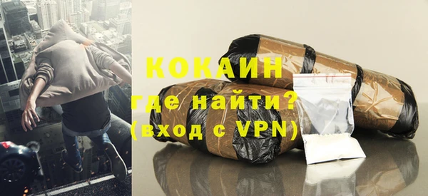 прущие грибы Магадан