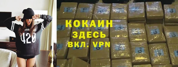 прущие грибы Магадан