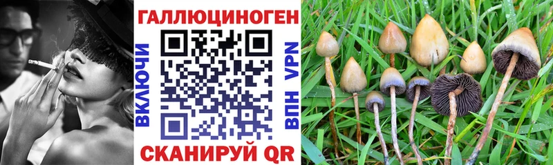 где купить   мориарти Telegram  Псилоцибиновые грибы ЛСД  Лысково  MEGA ссылка 